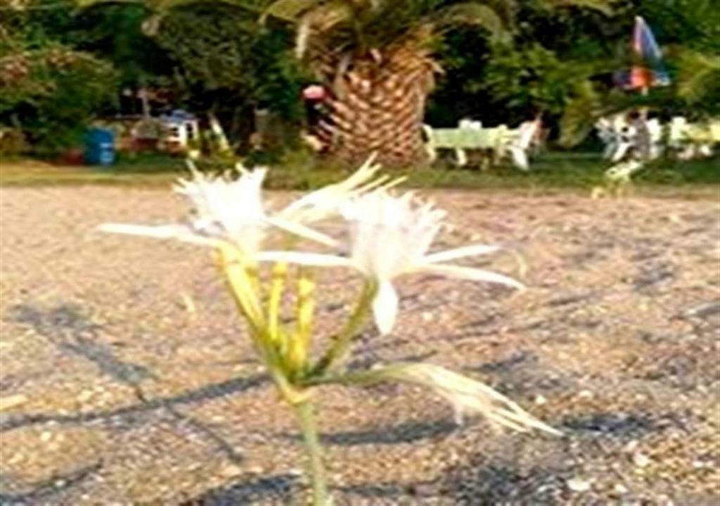 Aslihan Motel Anamur Exteriér fotografie